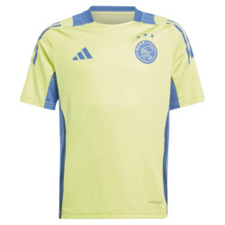 Ajax Trainingsshirt