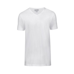 Slater T-shirt v-hals basic 2-pack