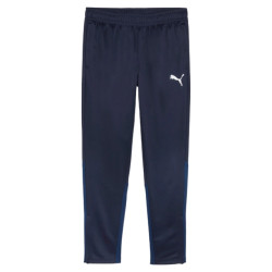 Puma Teamgoal training pant