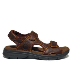 Panama Jack Salton basics