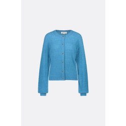 Fabienne Chapot Cltcar03aw243330 charlotta cardigan venus blue