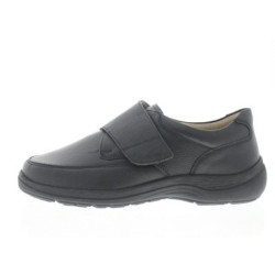 Solidus Natura man k