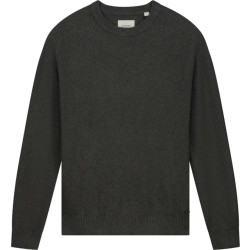 Dstrezzed Ds pedro raglan
