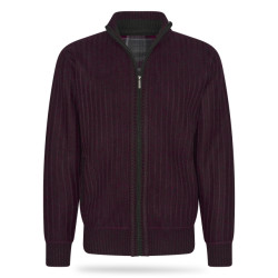 Cappuccino Italia Bounded jacket burgundy