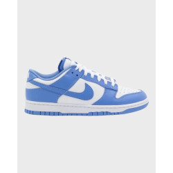 Nike Dunk low polar blue