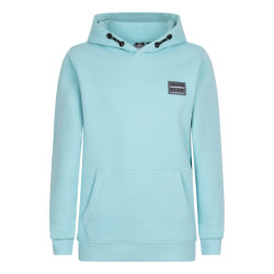 Indian Blue Jongens hoodie brushed mint