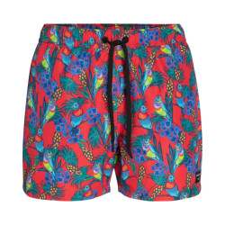 Björn Borg Björn borg swimshort sylvester – tropical print met papegaaien