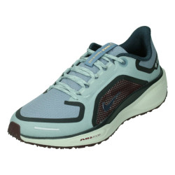 Nike Pegasus 41 gore-tex