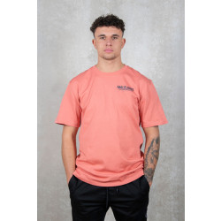 Malelions Worldwide paint t-shirt