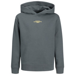 Jack & Jones Hoodie 12267481