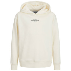 Jack & Jones Hoodie 12267481