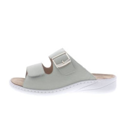 Solidus Wellness spezial g