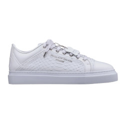 Benjamin Berner Odin python cut