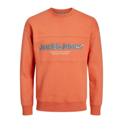 Jack & Jones Jorlakewood sweat crew neck bf jnr -