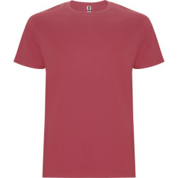 Roly Kinder/kinder stafford t-shirt met korte mouwen
