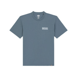 Dickies T-shirt korte mouw dk0a4z8ug701