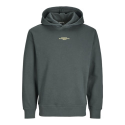 Jack & Jones Jcoalpha mountain print sweat hood oud