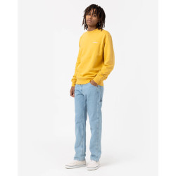 Dickies Jeans dk0a4xecc151