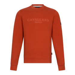 Cavallaro Celio r sweaters 120251000