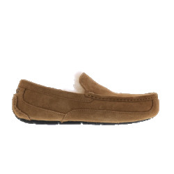 UGG Australia Heren ascot