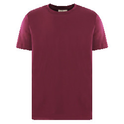 Valenza Heren interlock supima t-shirt