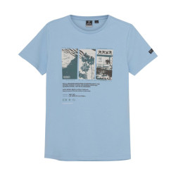 Indian Blue 960183