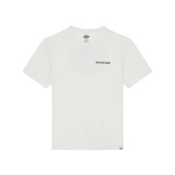 Dickies T-shirt korte mouw dk0a4z8vc481