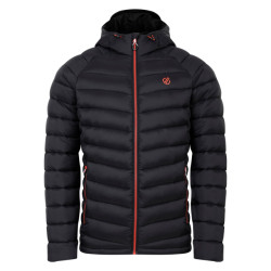 Dare2b Heren torrek mountain gewatteerde jas