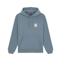 Dickies Hoodie dk0a8681g701