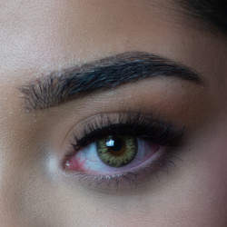 DEZZY'S Kleurlenzen | taylor brown hazel brown op sterkte ( jaarlenzen)
