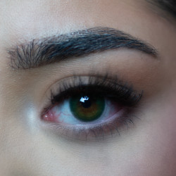 DEZZY'S Kleurlenzen | blisterpack | verde green ( jaarlenzen)