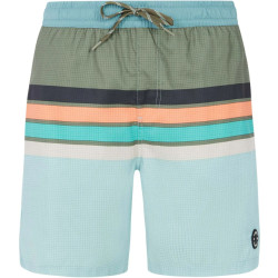 Protest avik beachshort zwemshort heren -