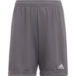 Adidas Kinderen/kinderen entrada 22 korte broek