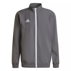 Adidas Heren entrada 22 presentatiejas