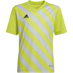 Adidas Kinder/kids entrada 22 grafische trui