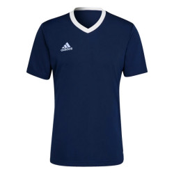 Adidas Kinder/kids entrada 22 jersey