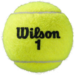 Wilson Roland garros tennisballen (set van 3)