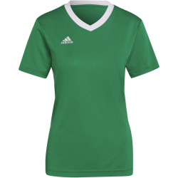 Adidas Dames entrada 22 jersey