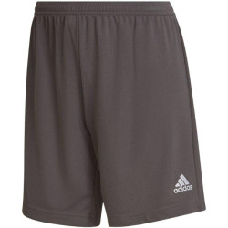 Adidas Dames entrada 22 trainingsbroek sweat shorts