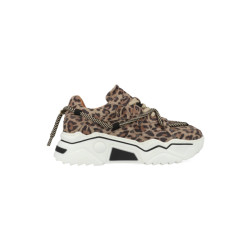 DWRS Label Jupiter leopard j5554c-77-8201