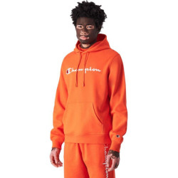 Champion Heren script logo hoodie