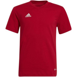 Adidas Kinderen/kinderen entrada 22 t-shirt