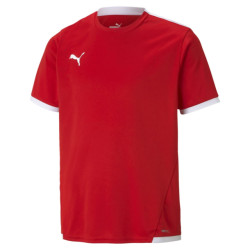 Puma Teamliga-trui voor kinderen