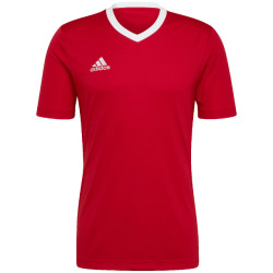 Adidas Heren entrada 22 t-shirt