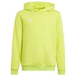 Adidas Kinderen/kinderen entrada 22 hoodie