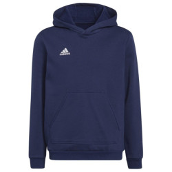 Adidas Kinderen/kinderen entrada 22 hoodie