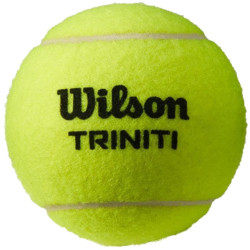Wilson Triniti tennisballen (set van 4)