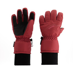 Sinner phoenix glove ski handschoenen jongens pink