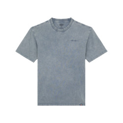 Dickies T-shirt korte mouw dk0a866bg701