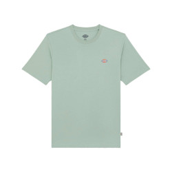 Dickies T-shirt korte mouw dk0a4xdbk361